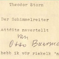 Schimmelreiter Startseite